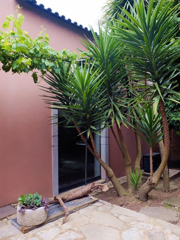Family Secrets Santo Andre Villa Santa Maria da Feira Exterior photo